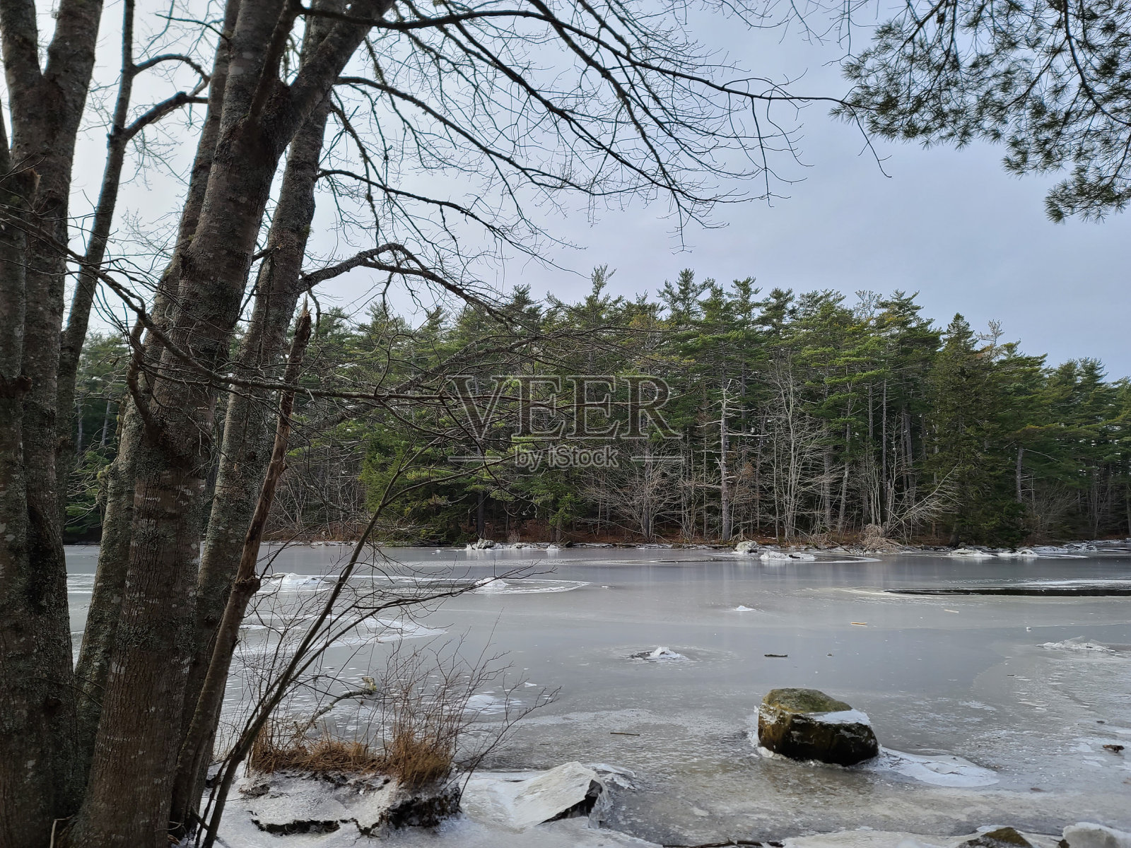 结冰的池塘照片摄影图片