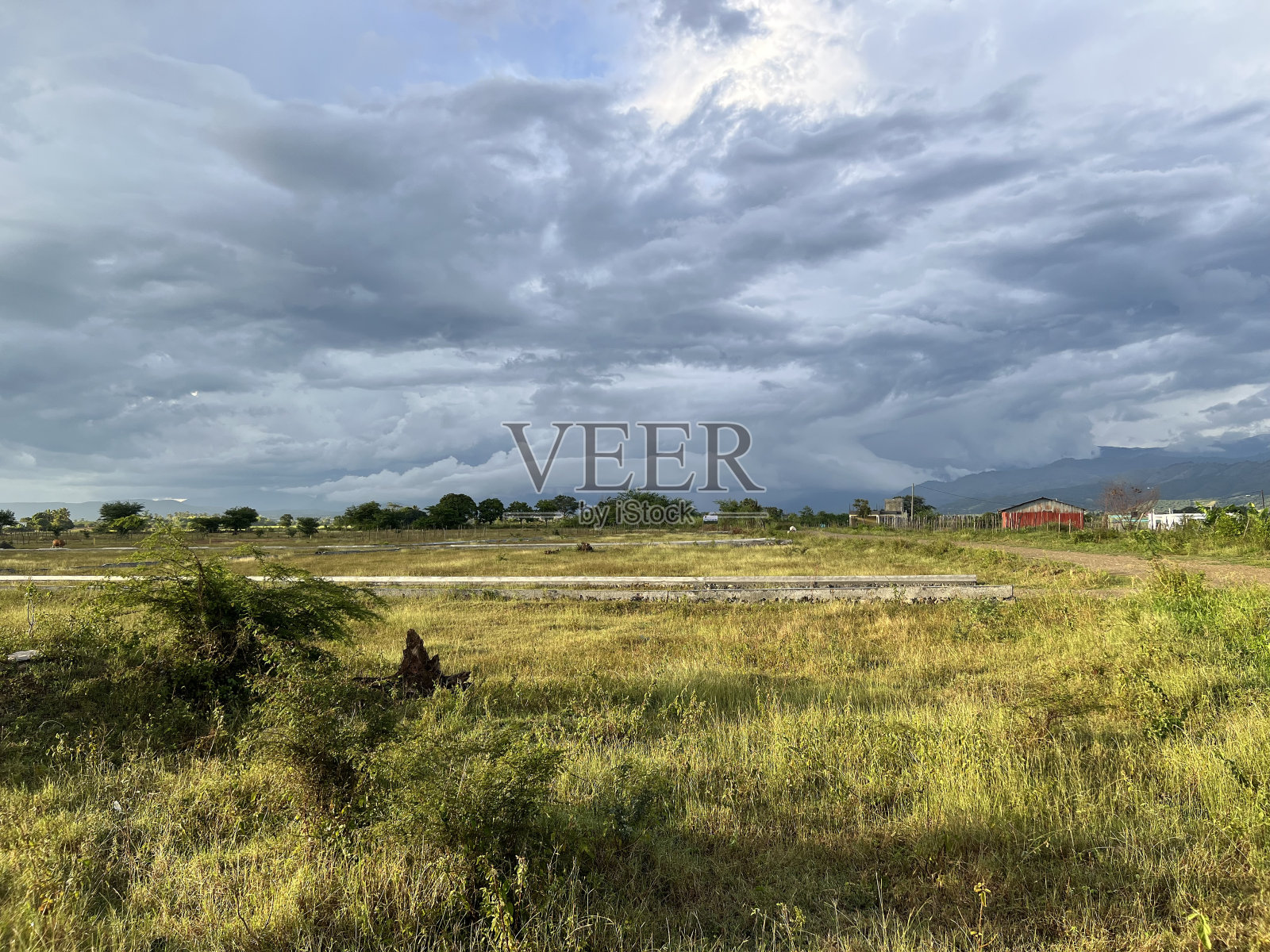 雨天的草地照片摄影图片