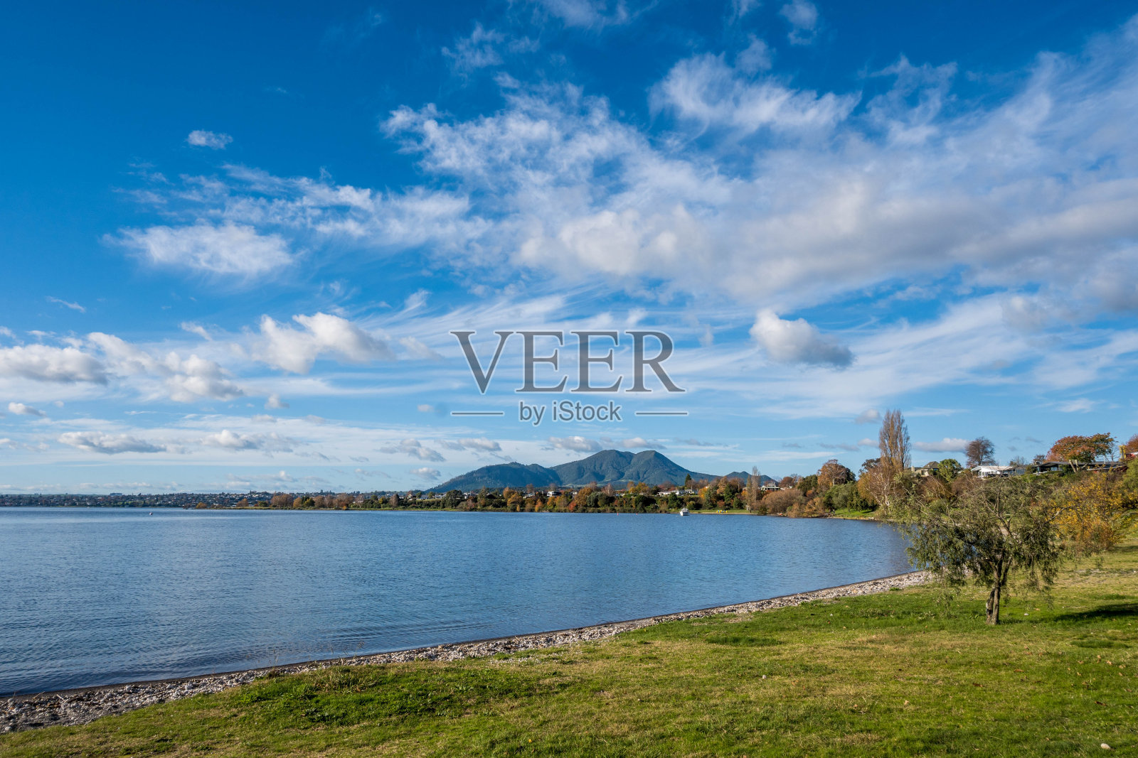 新西兰陶波湖全景照片摄影图片