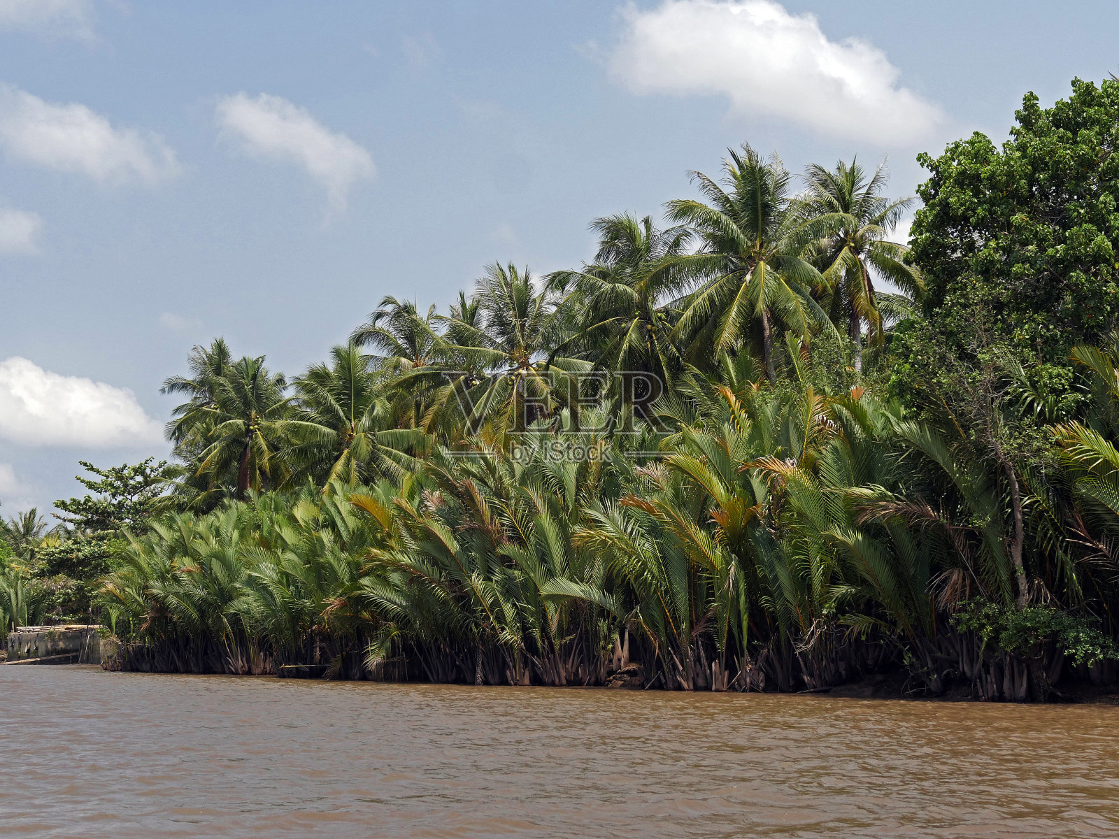 越南，湄公河三角洲，景观照片摄影图片