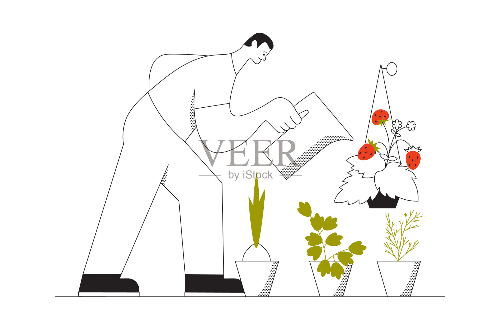 男人在给自家种植的蔬菜浇水插画图片素材