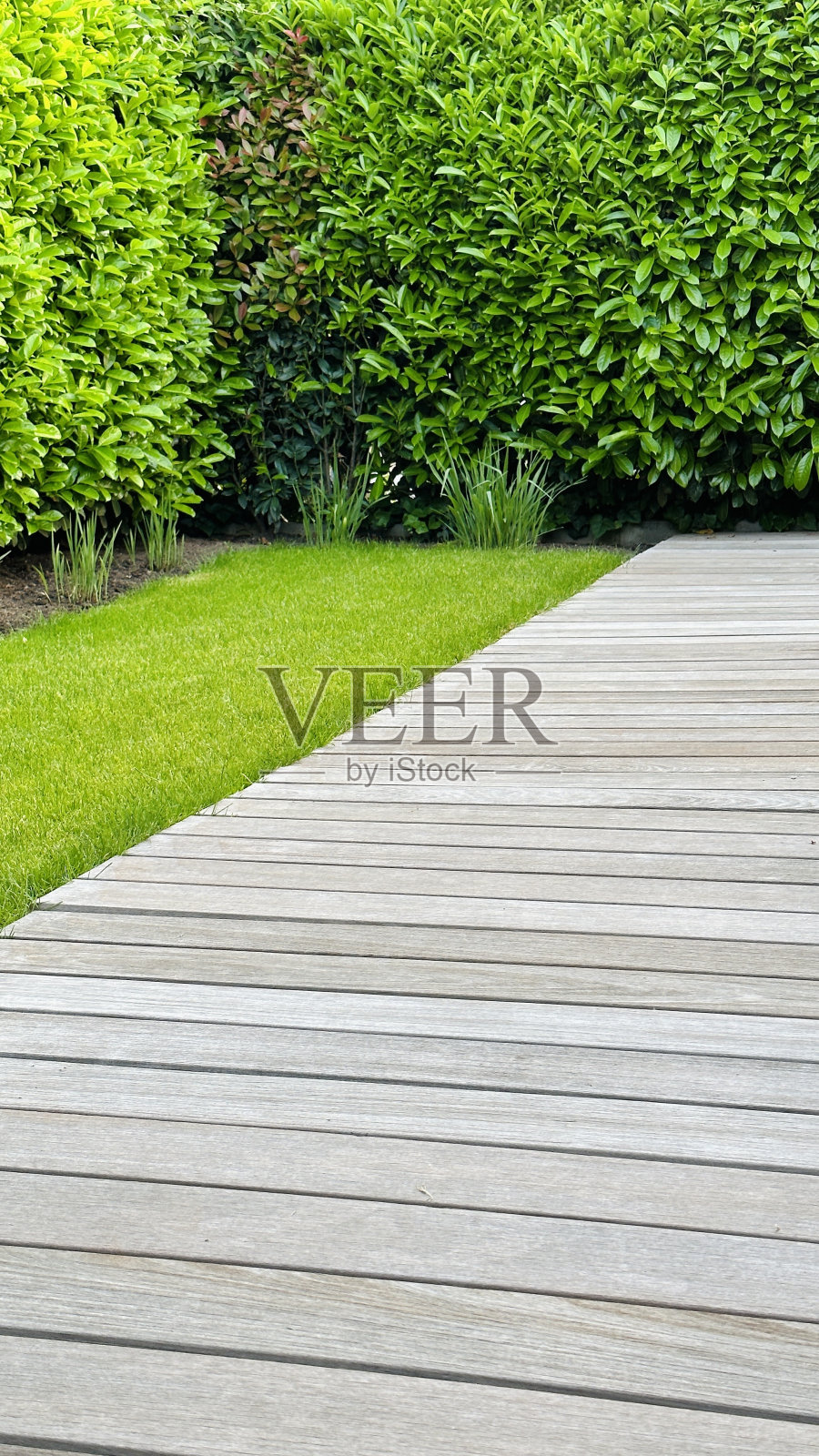 草坪和木板照片摄影图片