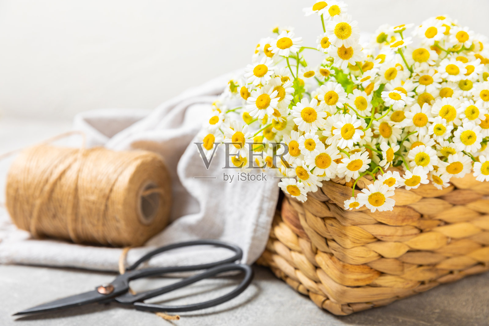 浅色背景上的一束雏菊。春夏芬芳的野花花束。木质背景上的纹理构图。时间放松。季节性的成分。放文字的地方。本空间照片摄影图片