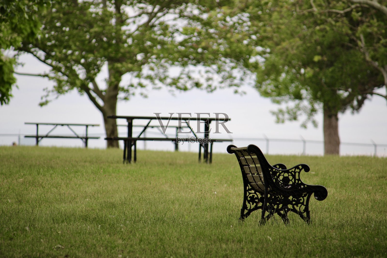 公园长椅和野餐桌照片摄影图片