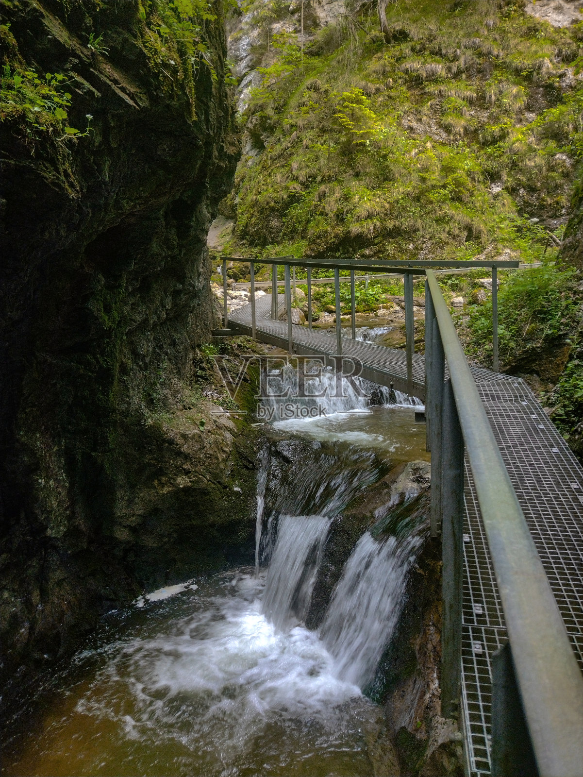 斯洛伐克Mala fatra (Janosikowe乳业)照片摄影图片