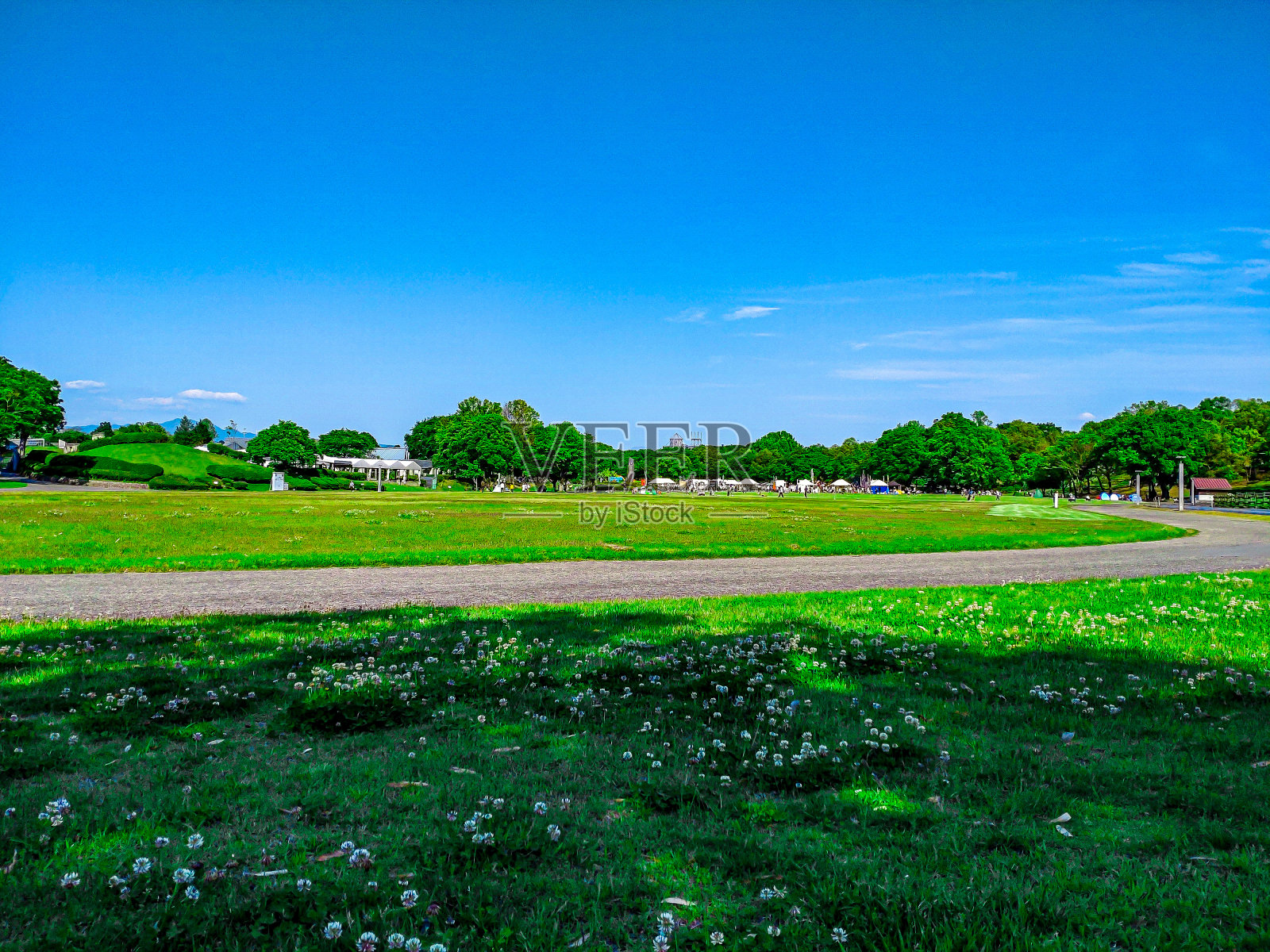 蓝天和有草坪的公园照片摄影图片