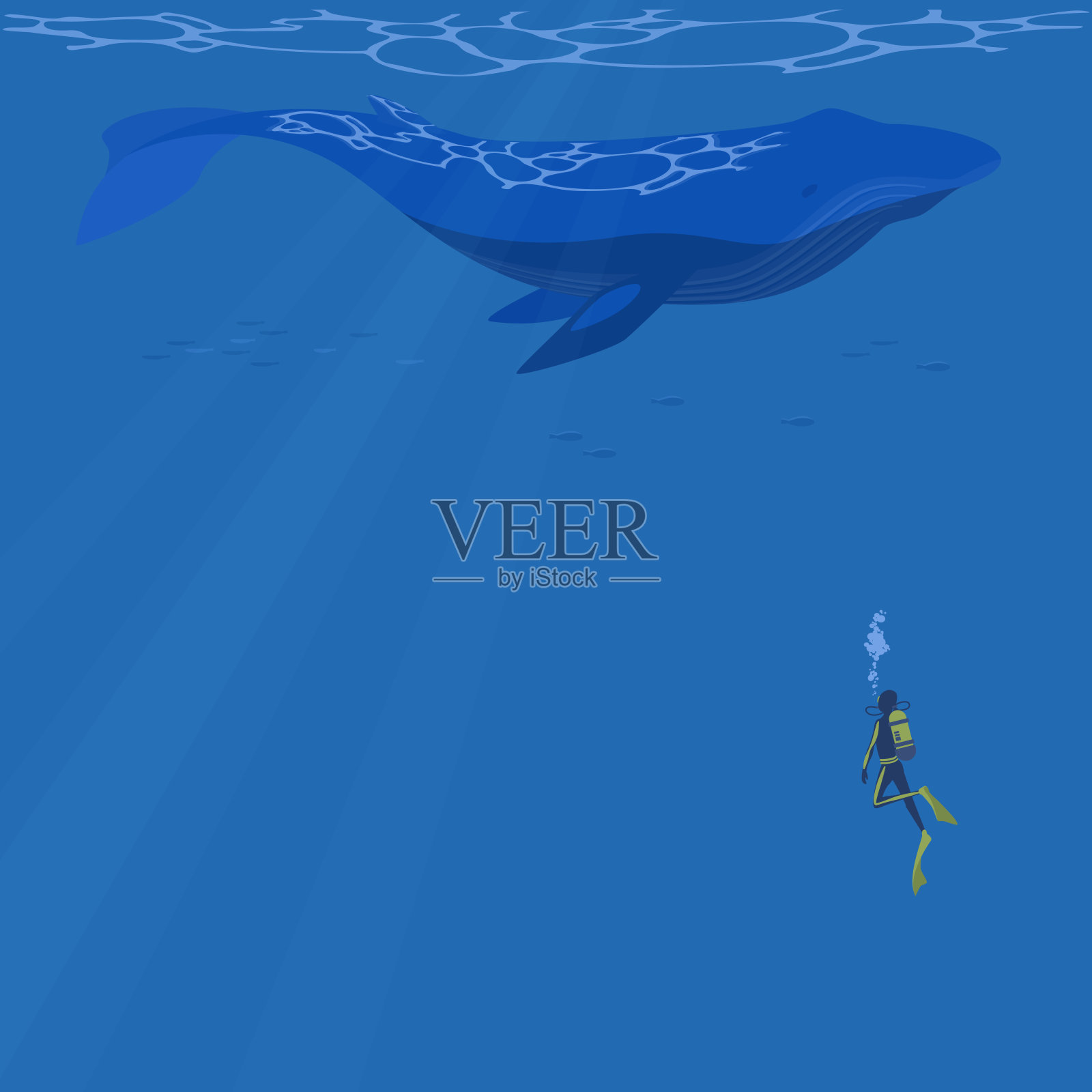 矢量插图的蓝鲸水下游泳与潜水员。夏季广场横幅框架。插画图片素材