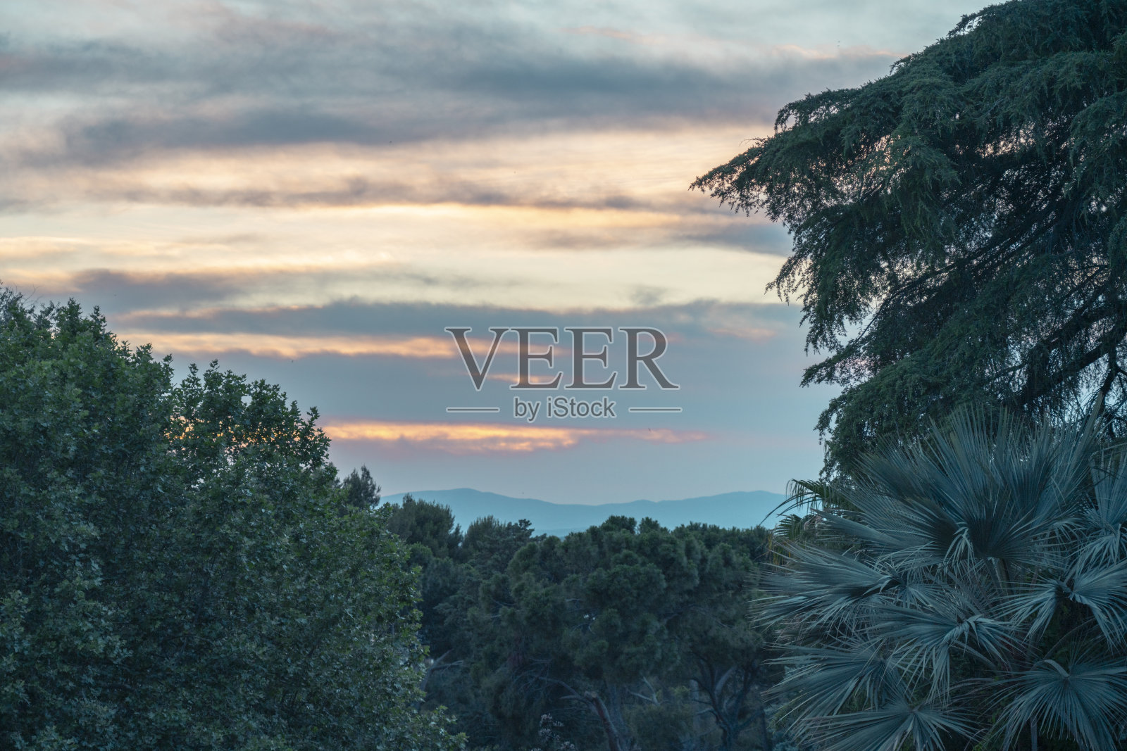 马德里公园的日落照片摄影图片