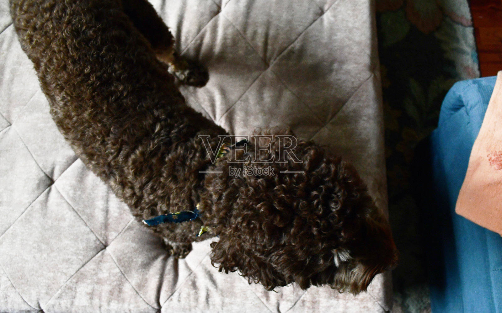 名人照片摄影图片