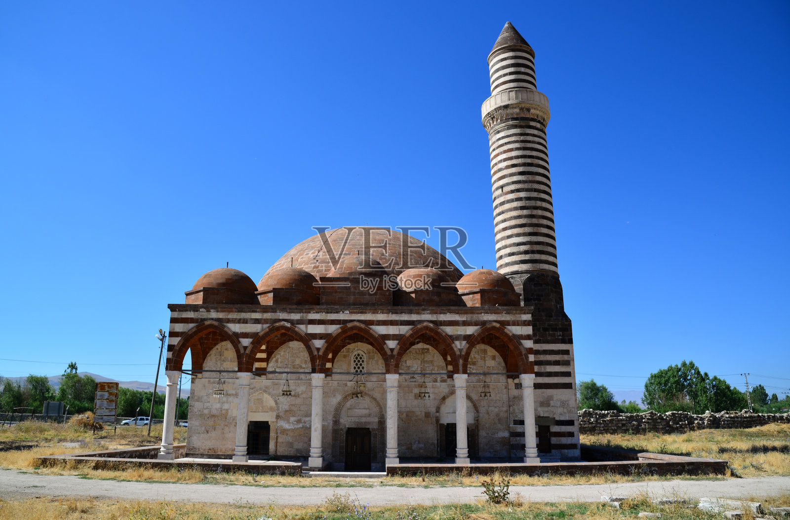 就像塞莱斯比·莫斯克-范/火鸡照片摄影图片