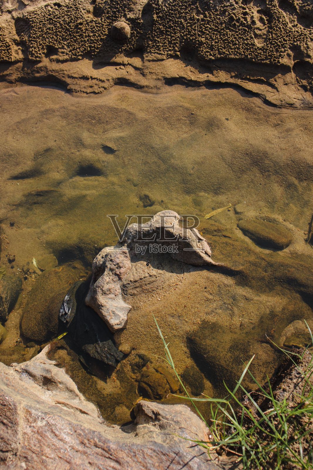 河岸上满是泥和水照片摄影图片