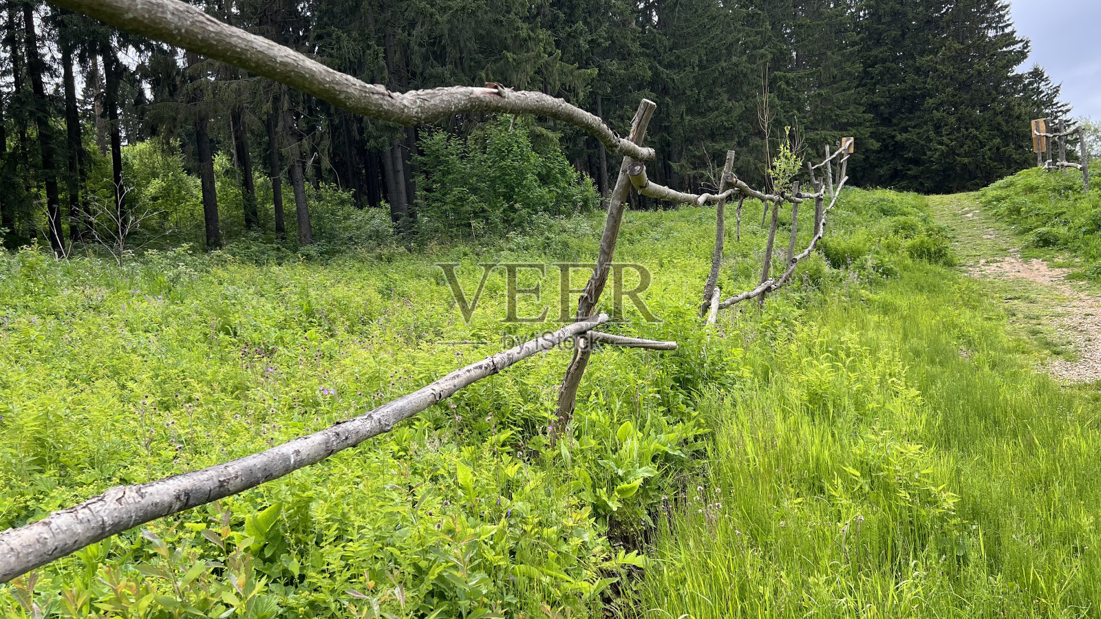 沿着公园的小路蜿蜒而行照片摄影图片