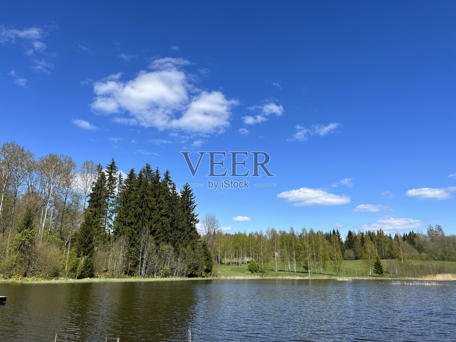 春日在湖边垂钓，白云映在湖面上，是春天的第一片绿照片摄影图片