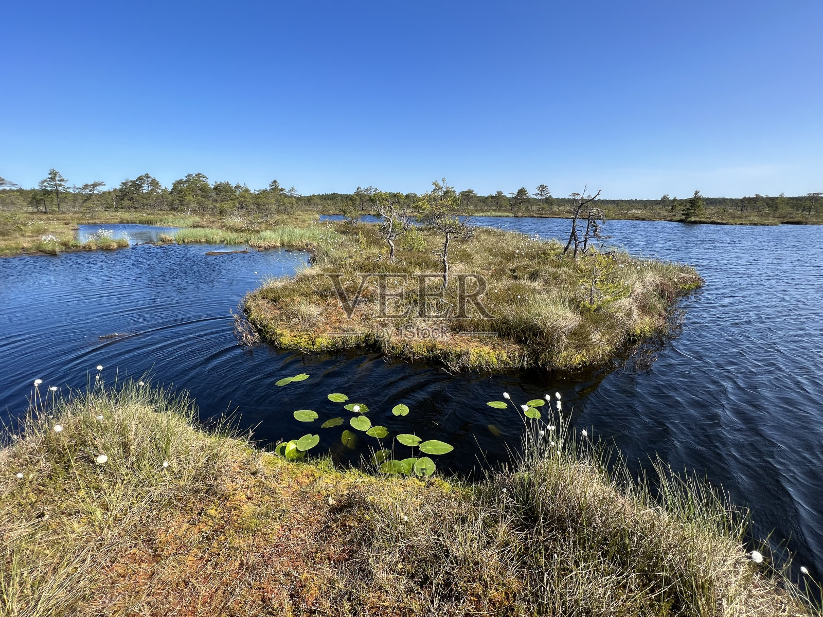 春日在湖边垂钓，白云映在湖面上，是春天的第一片绿照片摄影图片