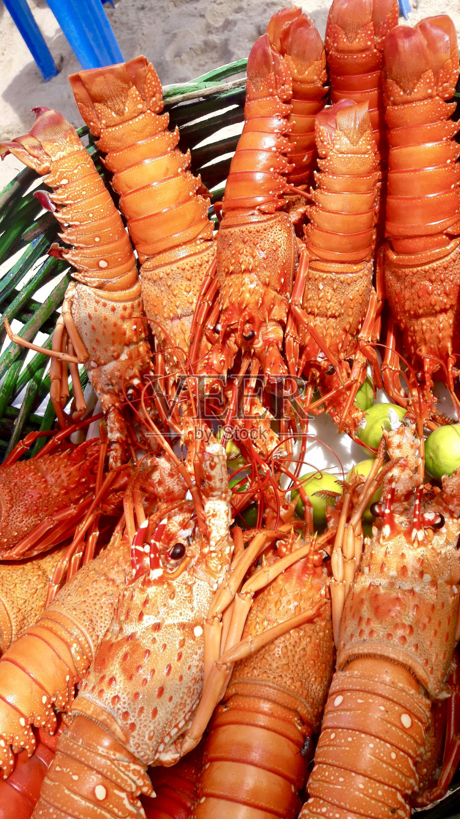 龙虾照片摄影图片