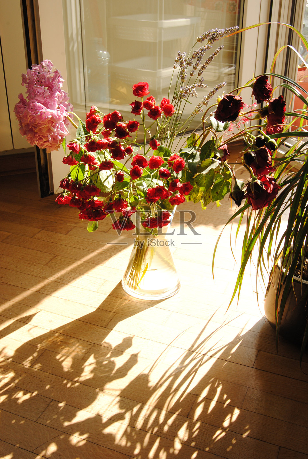 花瓶里的花照片摄影图片