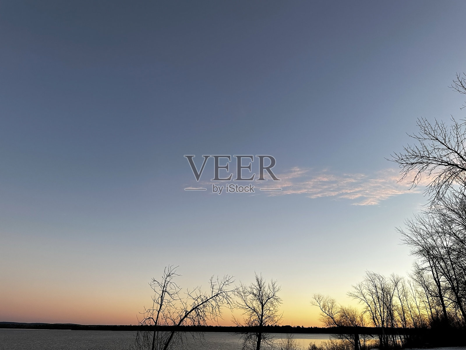 日出时树木的剪影照片摄影图片