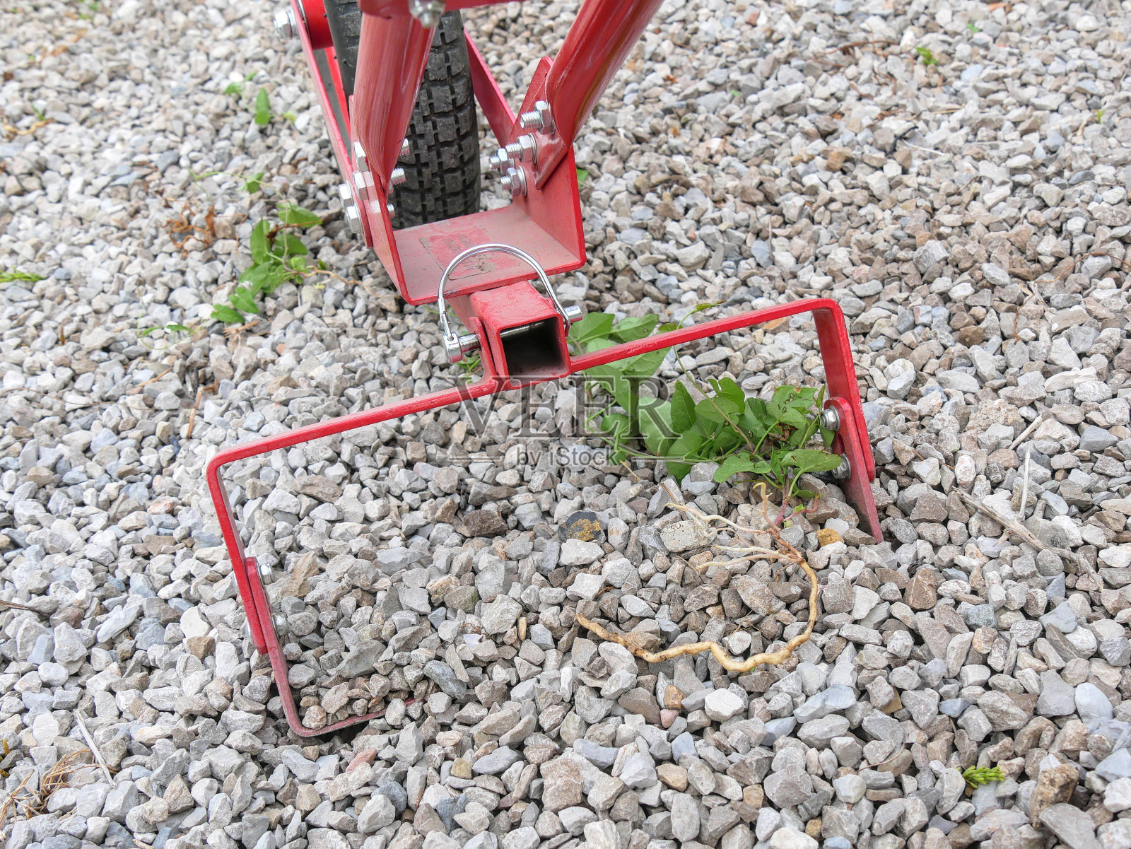 用轮式锄头锄草。照片摄影图片