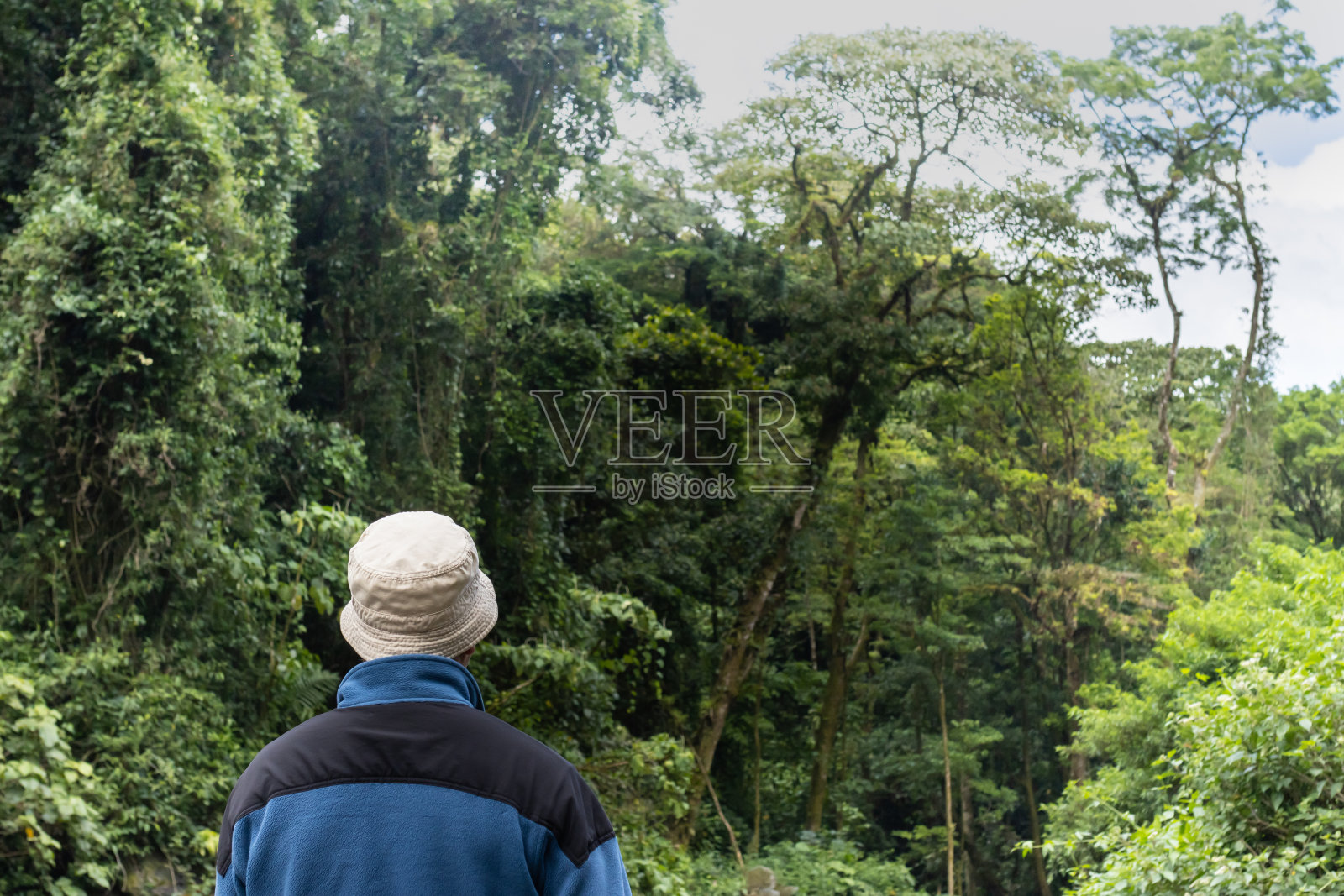 哥斯达黎加丛林中的旅行者照片摄影图片