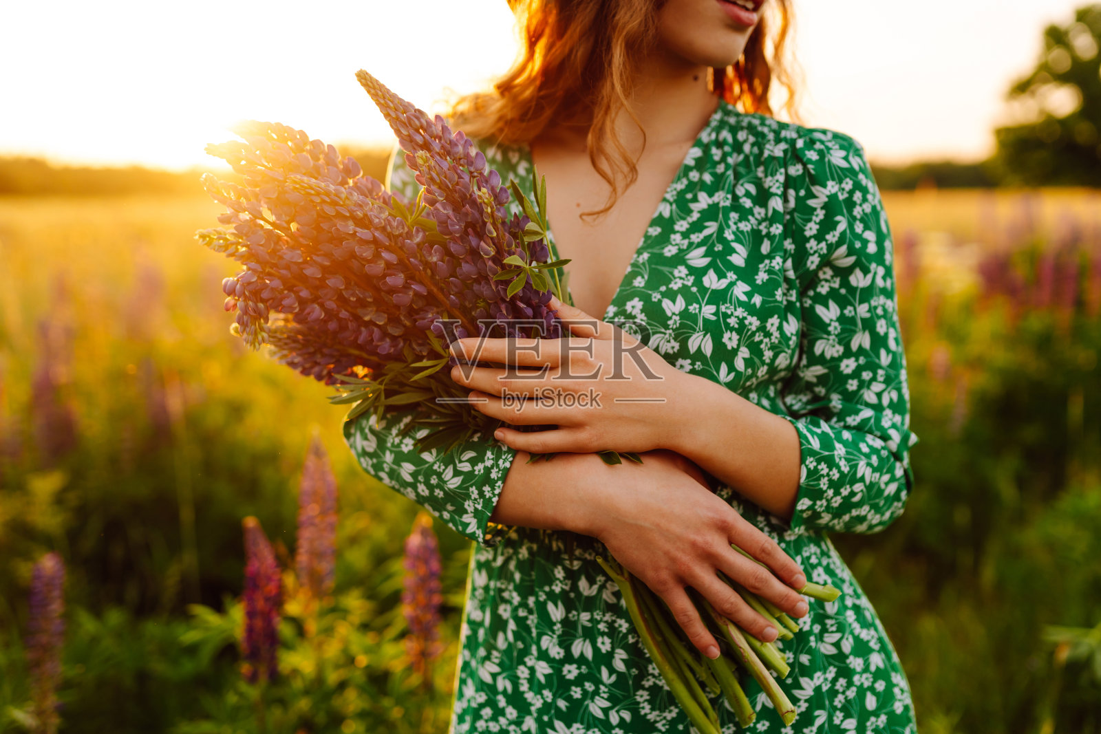 美丽的女人在盛开的薰衣草地里。照片摄影图片