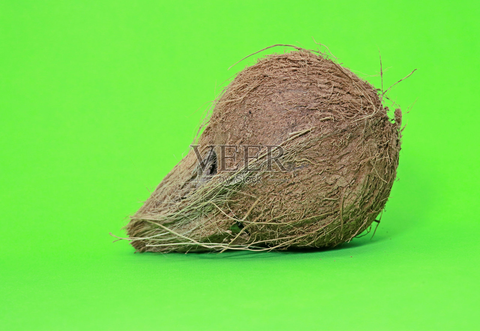 椰子照片摄影图片