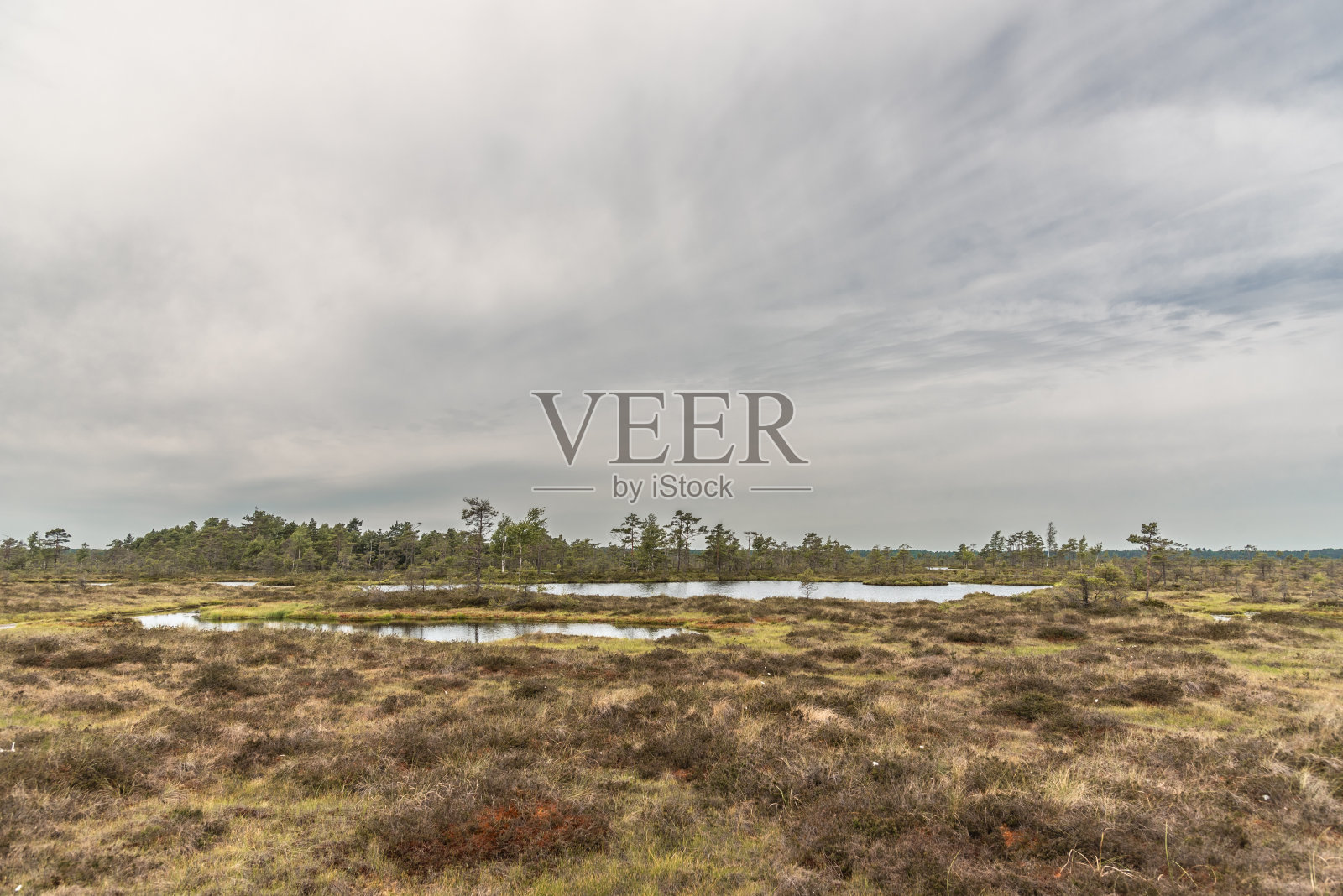多云的夏日，杜尼卡沼泽照片摄影图片
