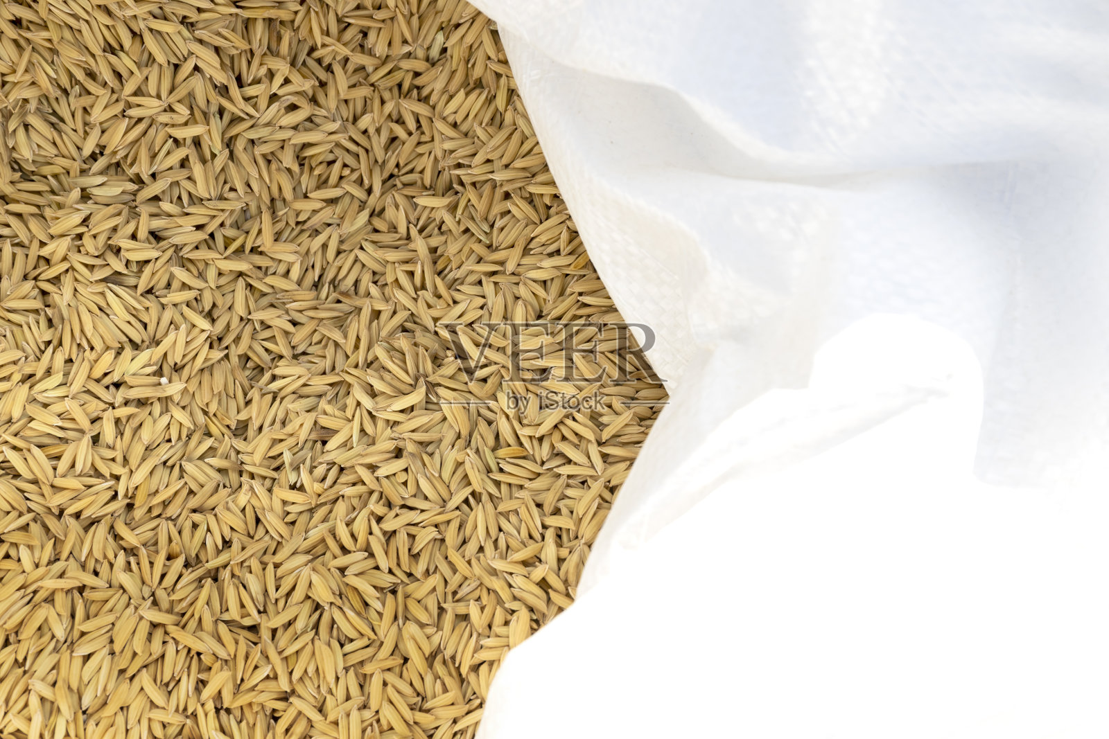 金色的稻田装在白色的袋子里。收获的稻谷。俯视图照片摄影图片