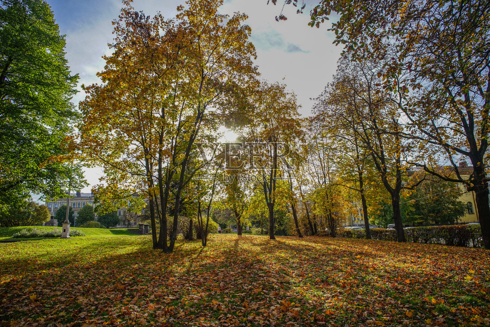 俄罗斯圣彼得堡的秋天公园照片摄影图片