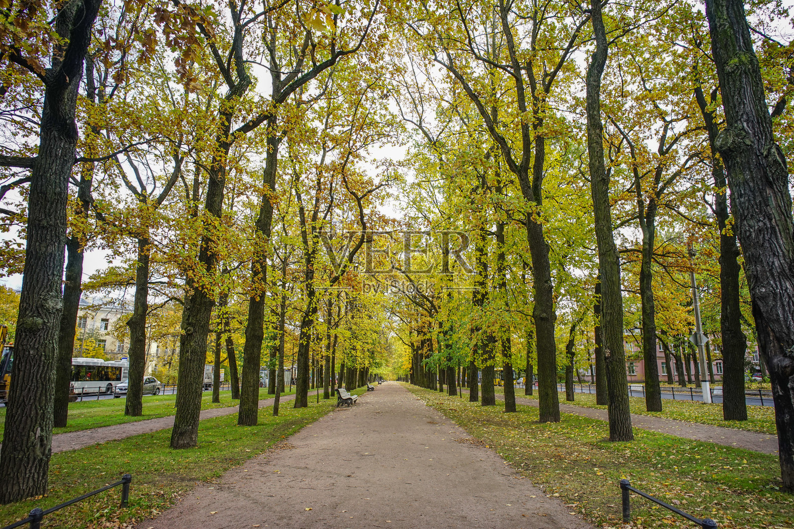 俄罗斯圣彼得堡的秋天公园照片摄影图片