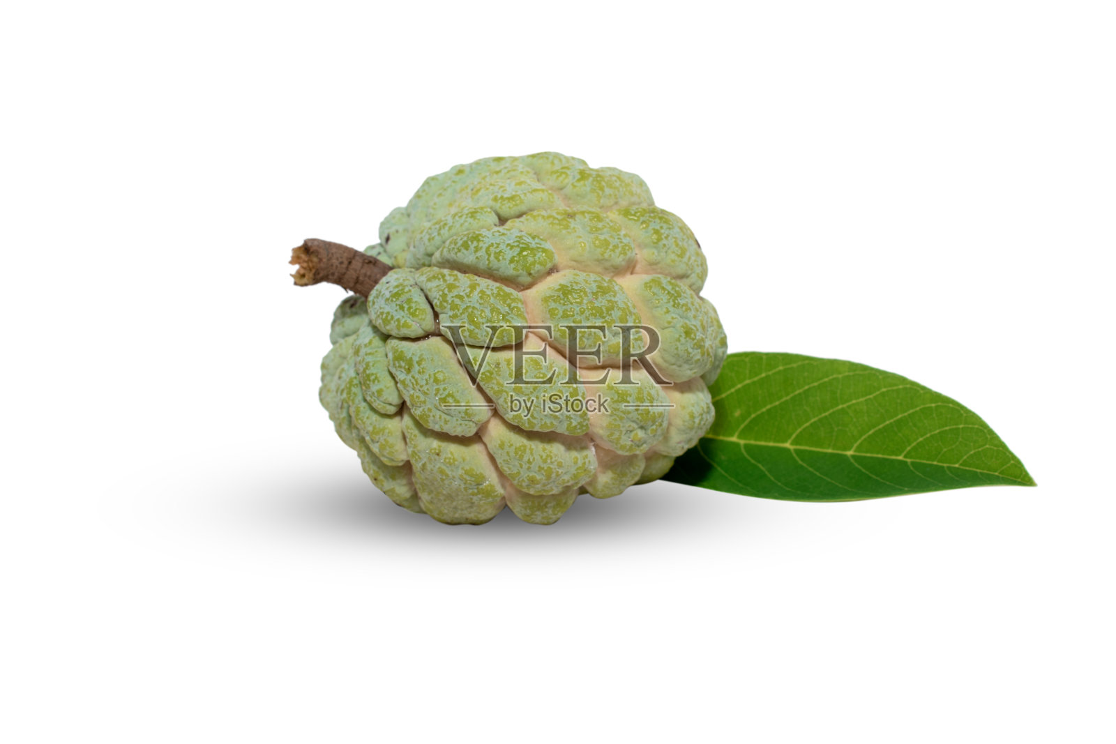 白底分离的白糖苹果或蛋奶苹果绿叶，果实健康照片摄影图片