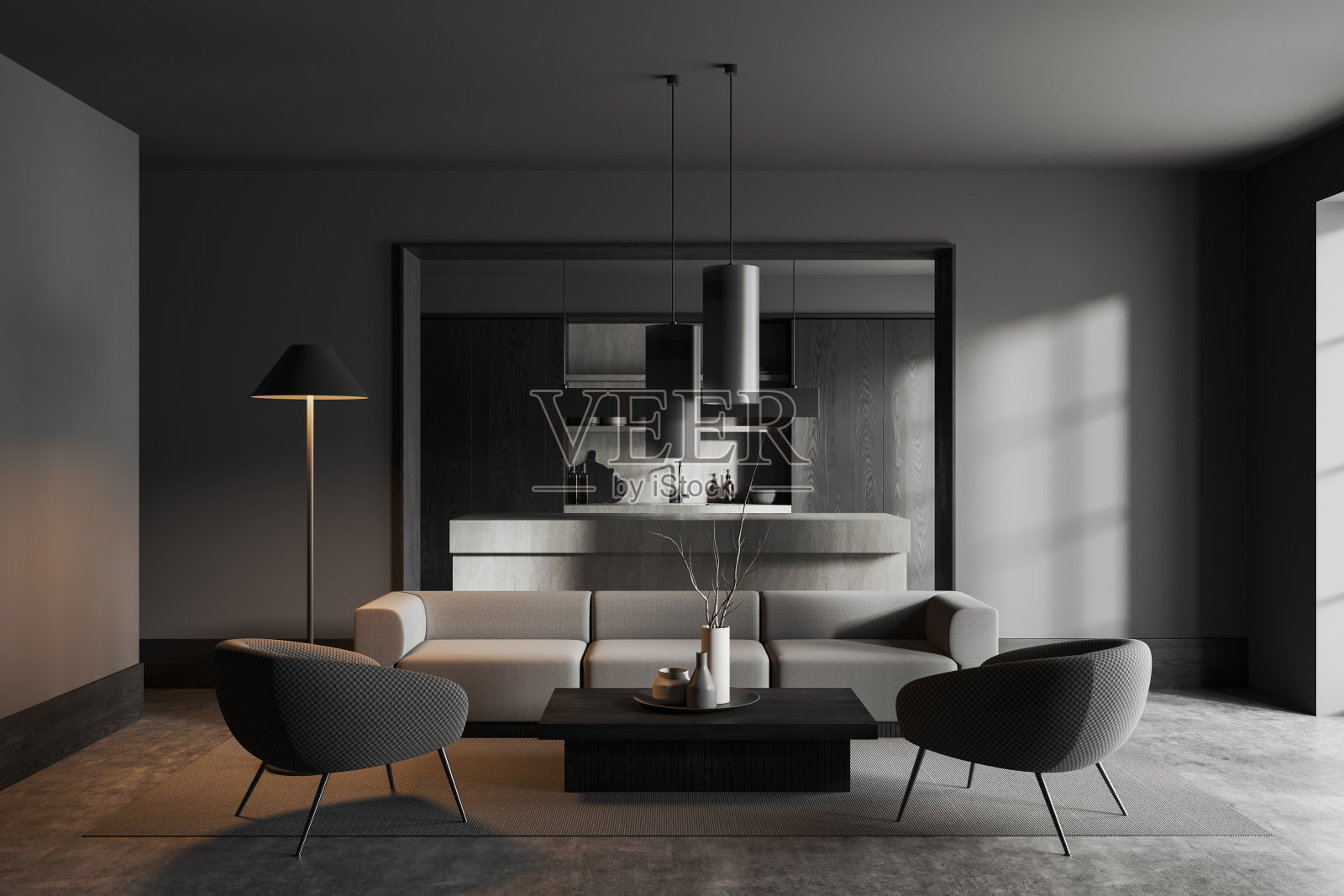 灰色的厨房和客厅室内照片摄影图片