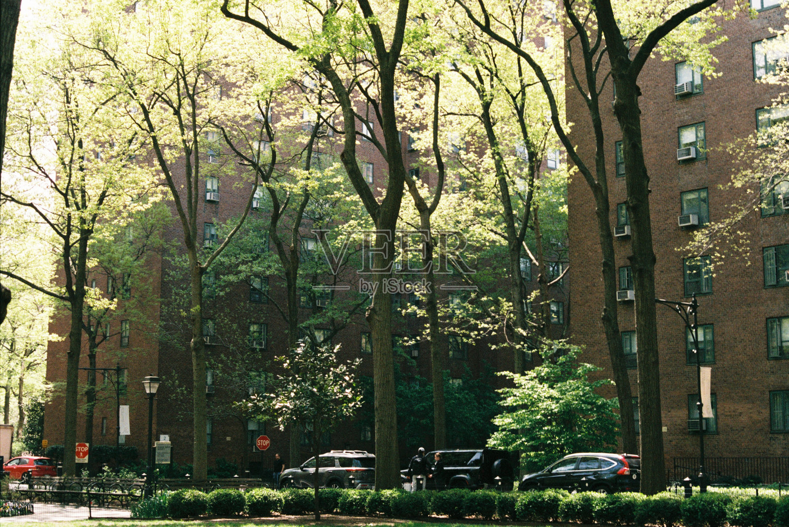 华盛顿广场公园照片摄影图片