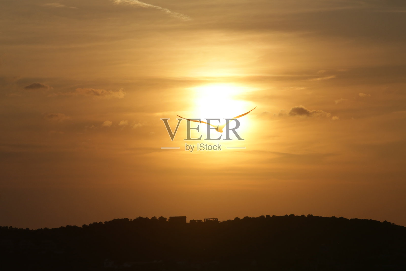 日落时海鸥飞过天空的剪影。照片摄影图片