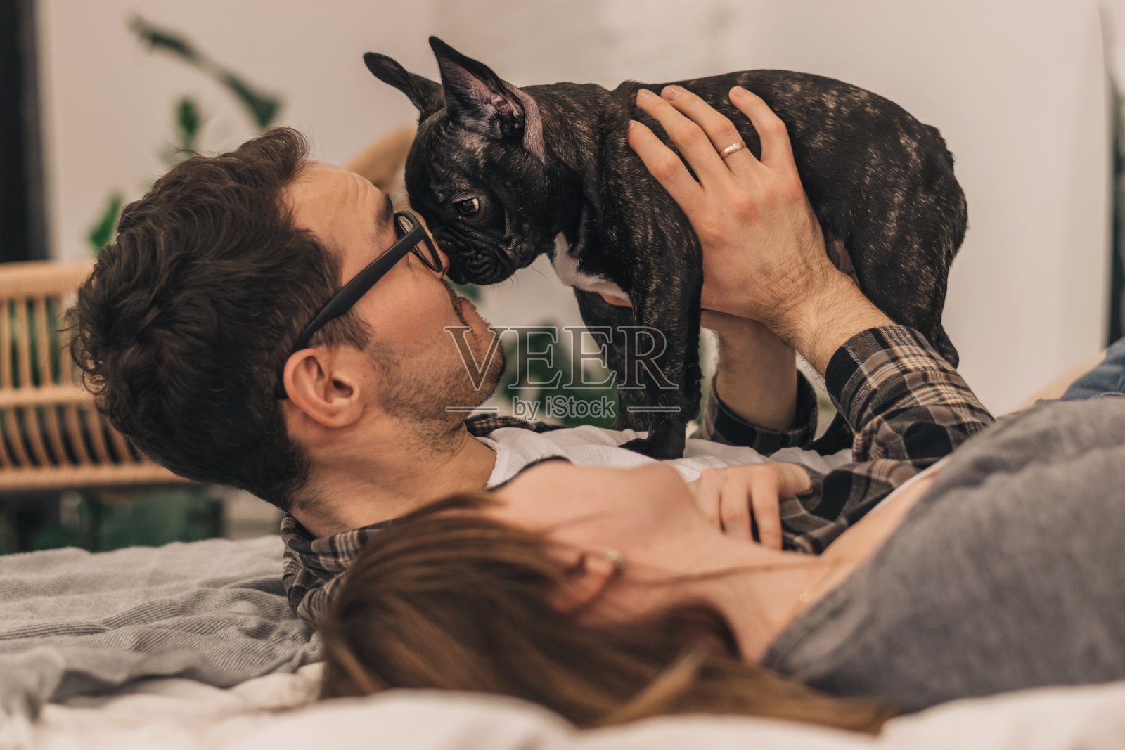 一对幸福的夫妇正在家里的床上和他们的法国斗牛犬小狗玩耍。家庭与动物的生活理念照片摄影图片