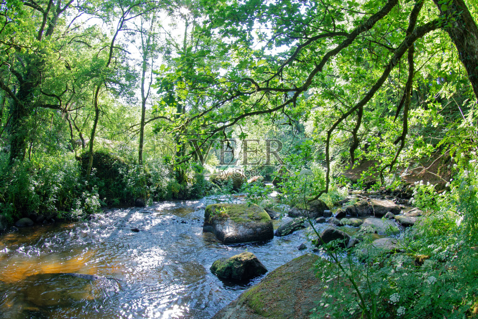 乱糟糟的照片摄影图片