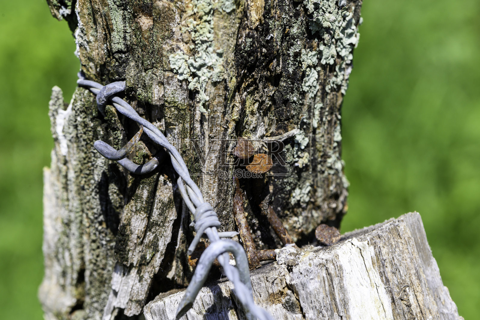 一个古老的木制乡村栅栏柱的特写，上面有生锈的旧钉子和钉在柱子上的铁丝网的末端照片摄影图片