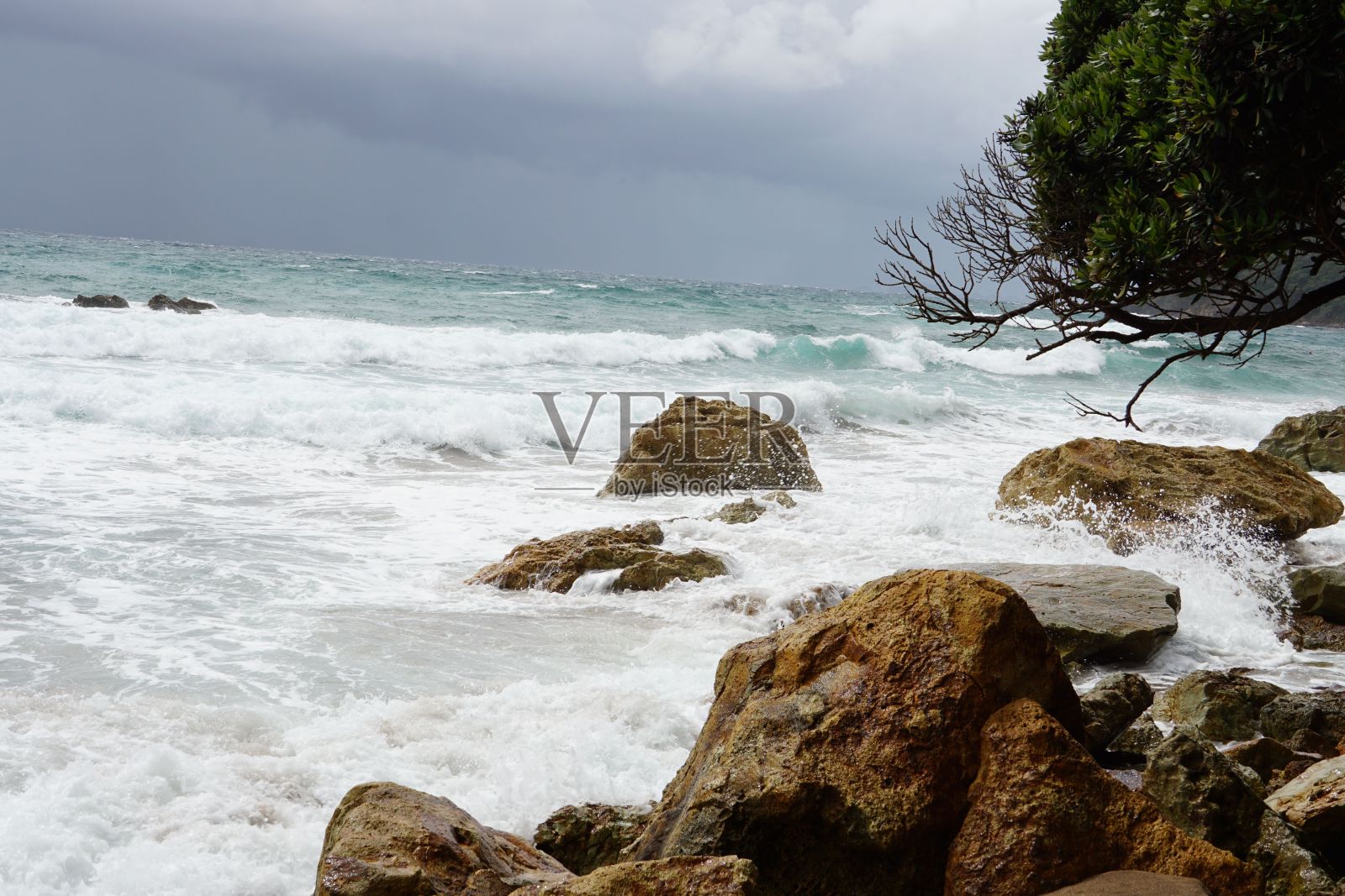 大海从一个岩石海滩与郁郁葱葱的绿色树木的背景照片摄影图片
