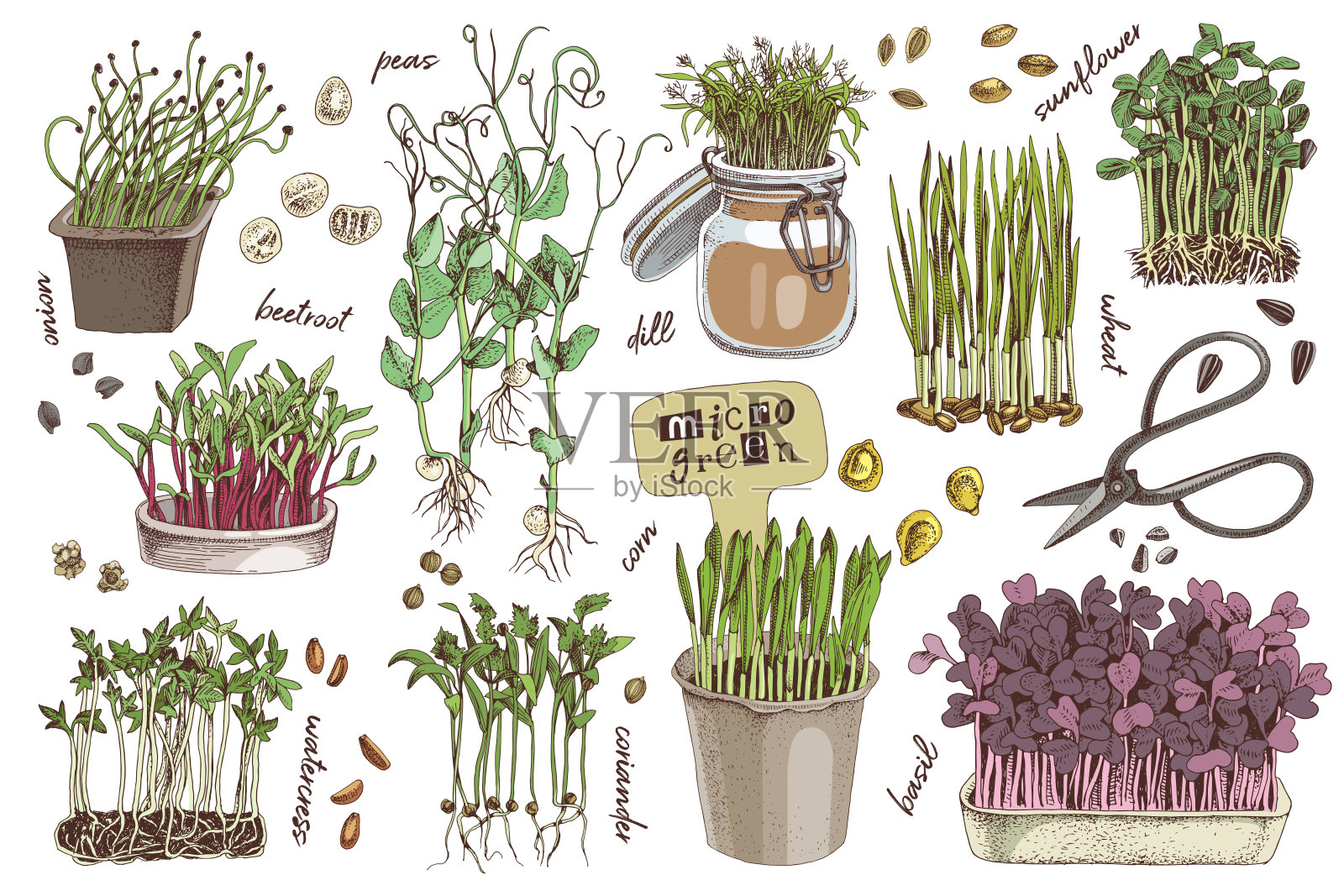 基本的RGB插画图片素材