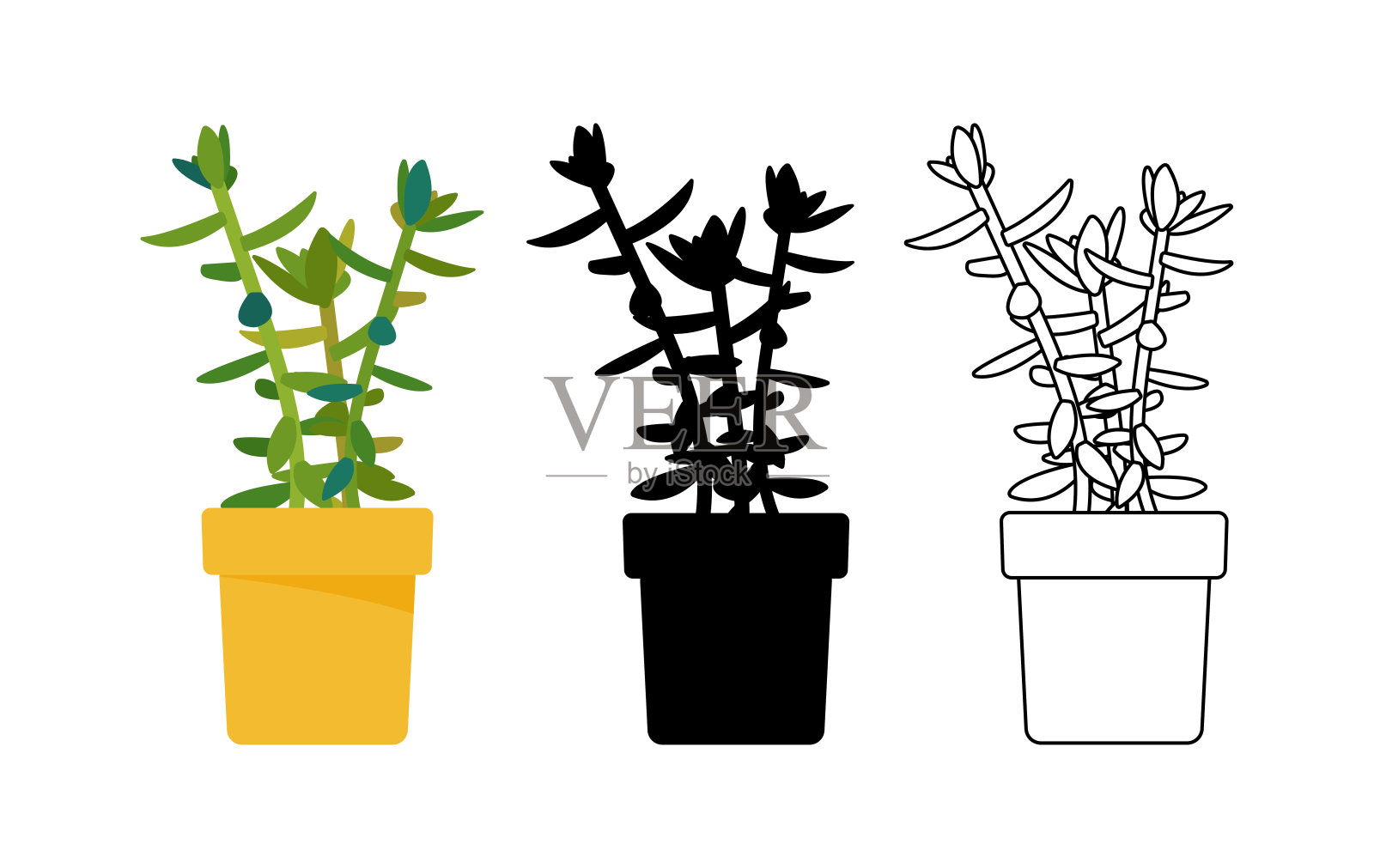 室内植物的颜色，黑色和白色。斯堪的纳维亚室内设计。设计元素。插画图片素材