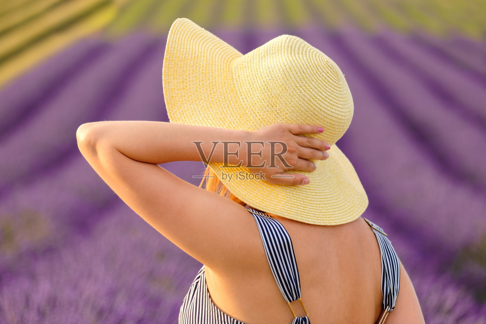 站在薰衣草地里的女人的背影。照片摄影图片