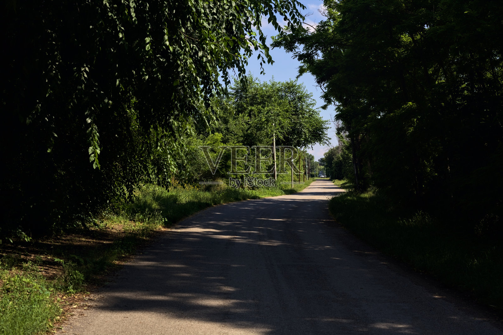 夏日里，意大利乡间小树林里的一条路被遮阴了照片摄影图片