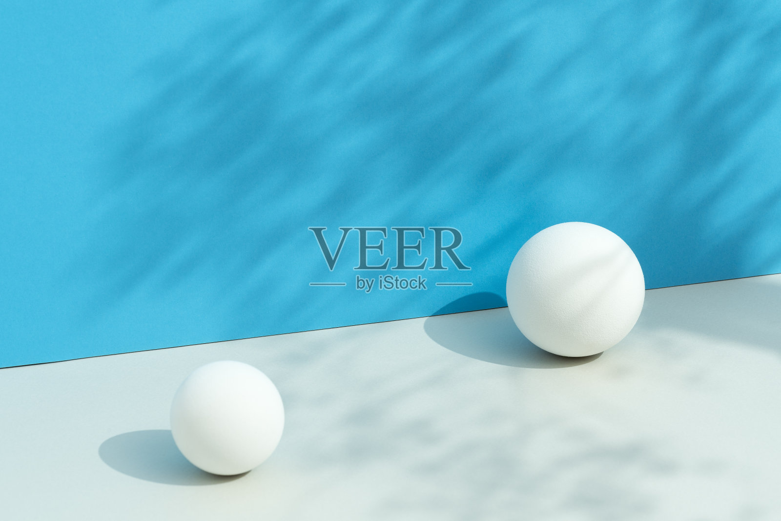 复制空间蓝色背景与花卉阴影照片摄影图片