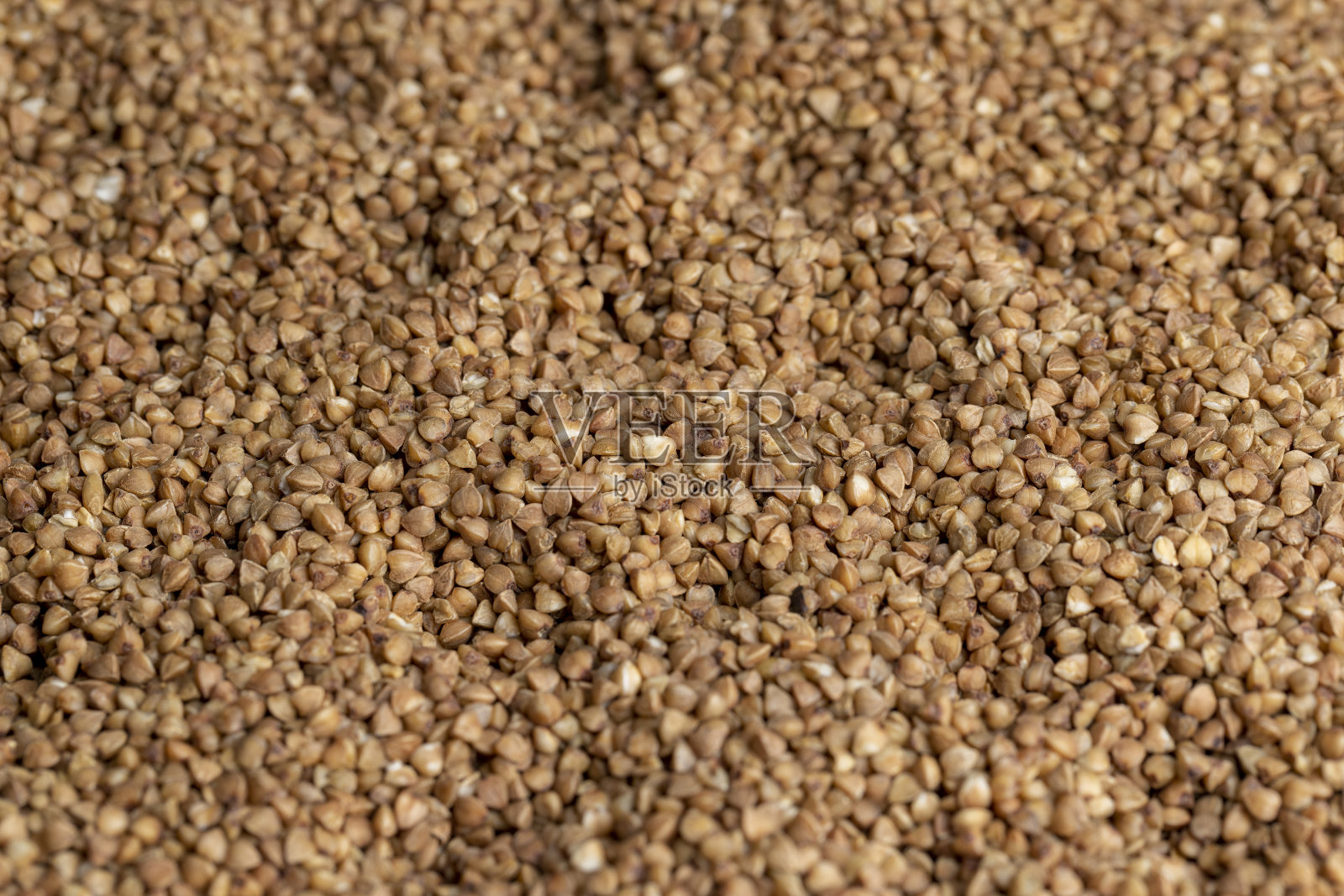 大量收获的荞麦照片摄影图片