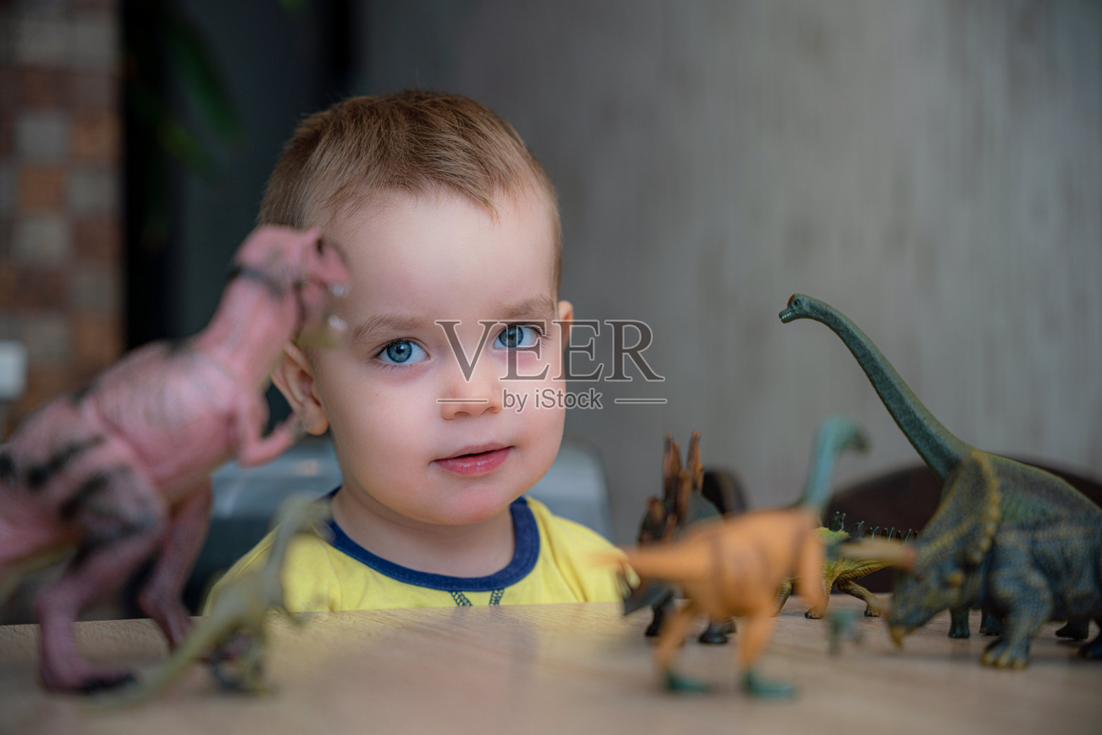 可爱的男孩在餐桌上玩恐龙照片摄影图片
