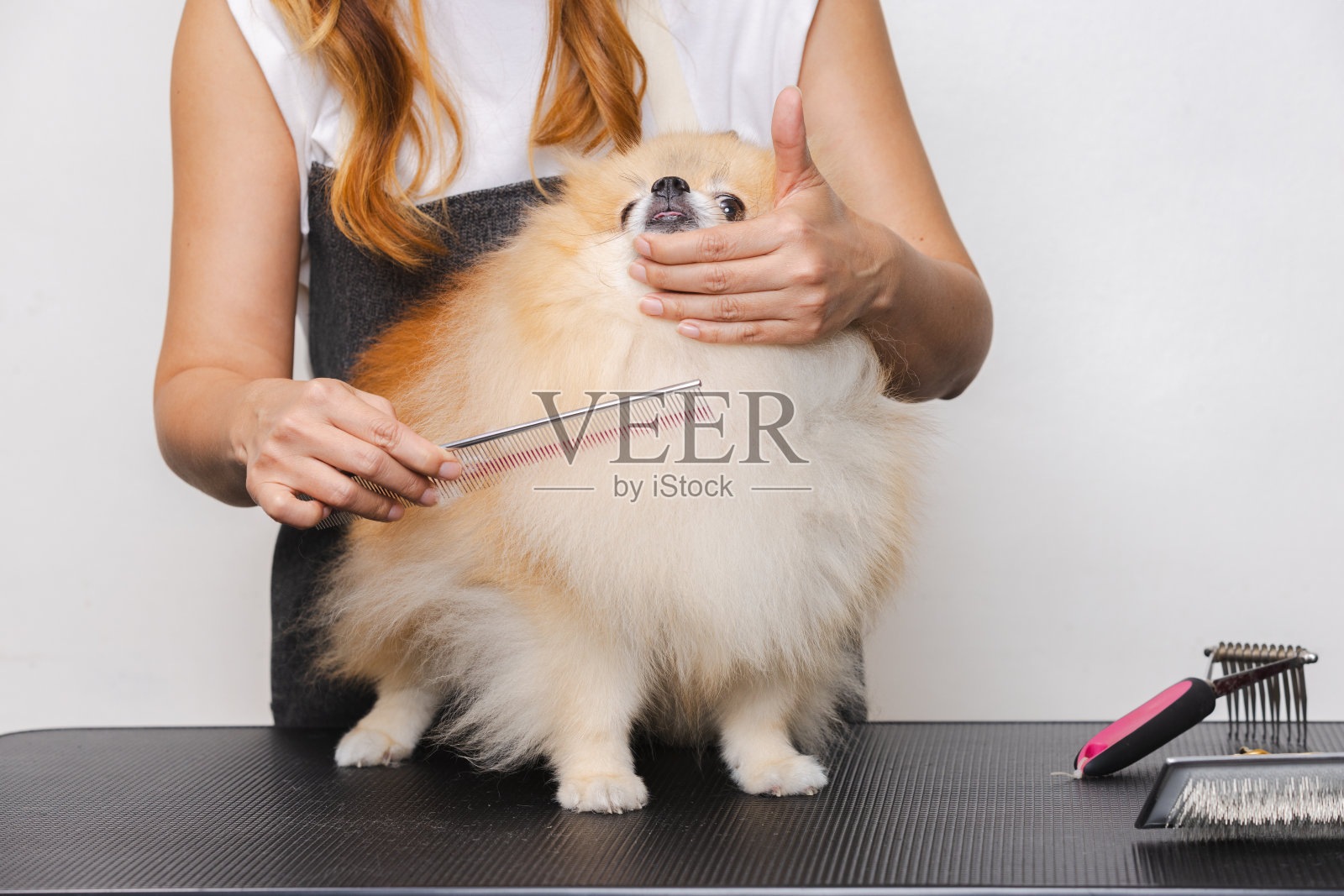 女理发师在美容院给狗梳理毛发照片摄影图片