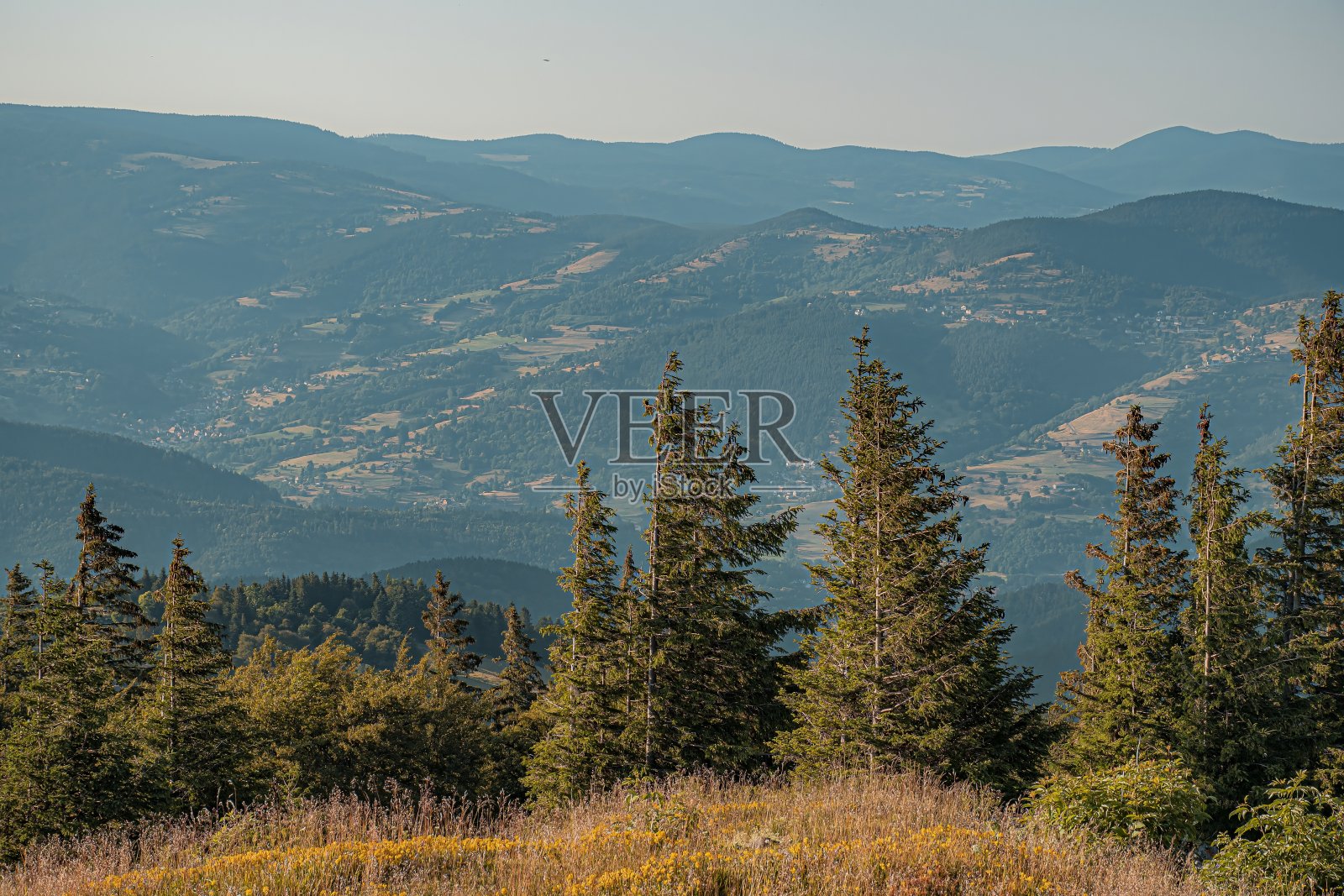 Kolmar照片摄影图片