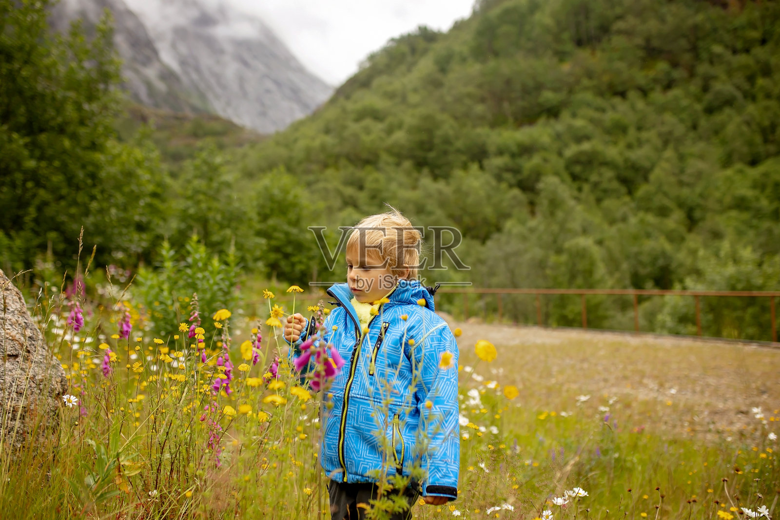 孩子，可爱的男孩，蹒跚学步的孩子在欣赏冰川的美景
约斯达尔斯布林国家公园照片摄影图片