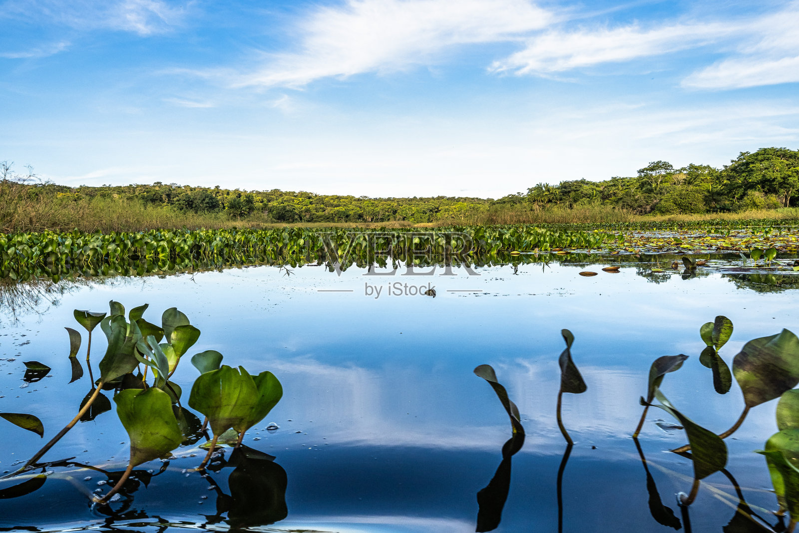 在安达莱，巴伊亚，巴西，查帕达迪亚曼蒂纳潘塔纳尔马林巴斯独木舟之旅照片摄影图片