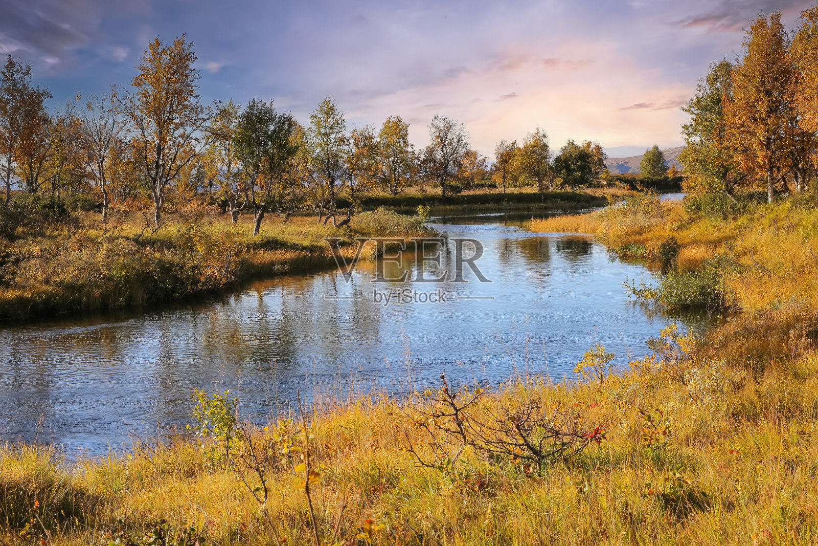 挪威福罗洛尼亚国家公园的秋天照片摄影图片
