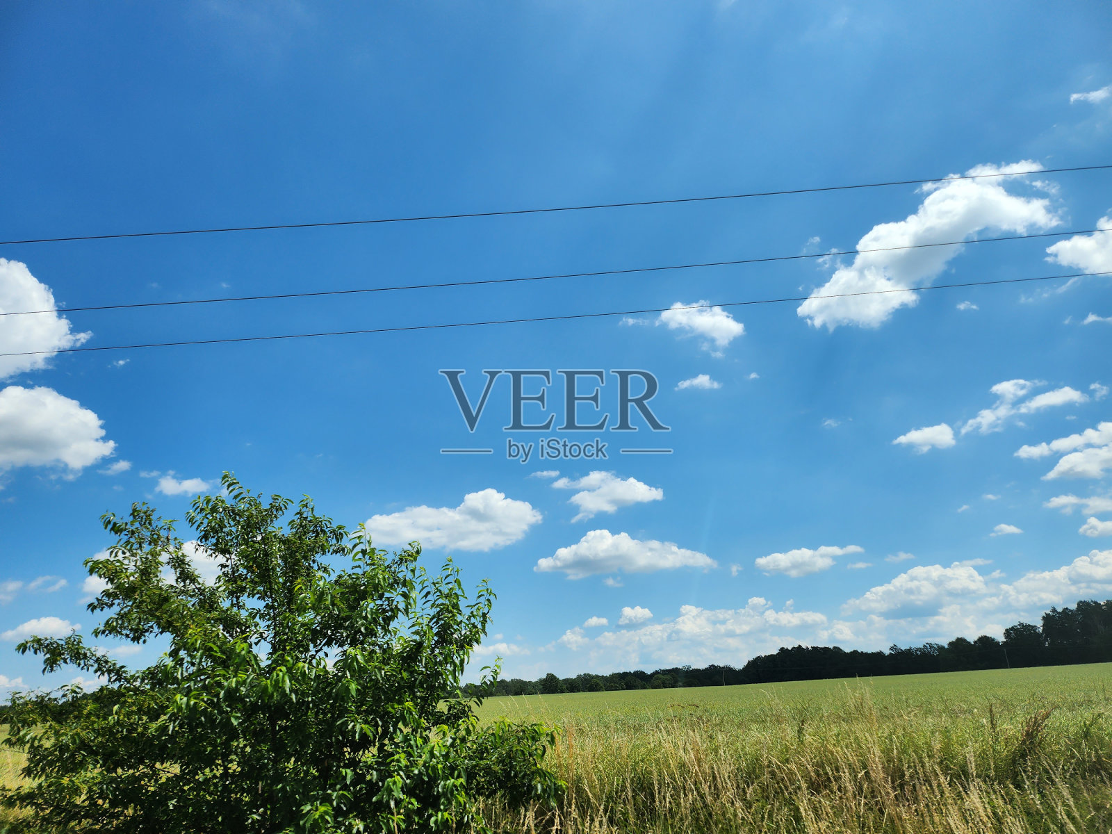 夏天。照片摄影图片